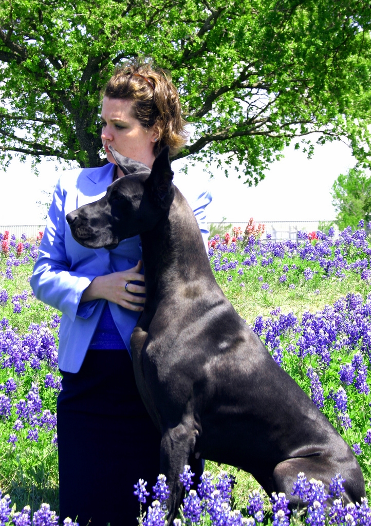 Photo by Diana Jones, April 13, 2008