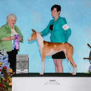 Mabel becomes a new champion!