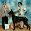 APOLLO'S MAJESTIC NYX GODDESS OF NIGHT, bred by Brian January and owned by Susan Fenwick