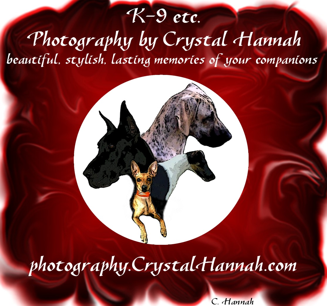 Photos and Design by Crystal Hannah